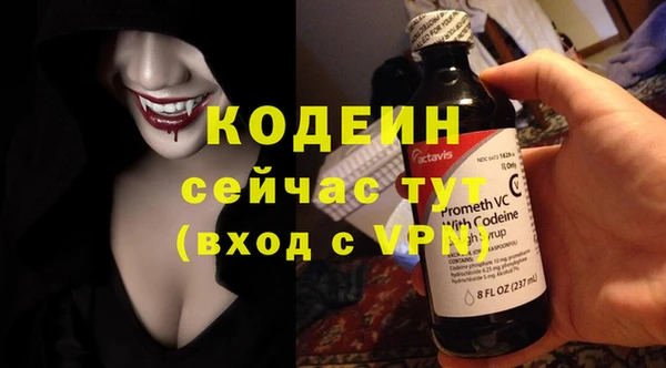 шишки Белоозёрский