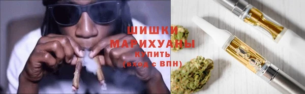 шишки Белоозёрский