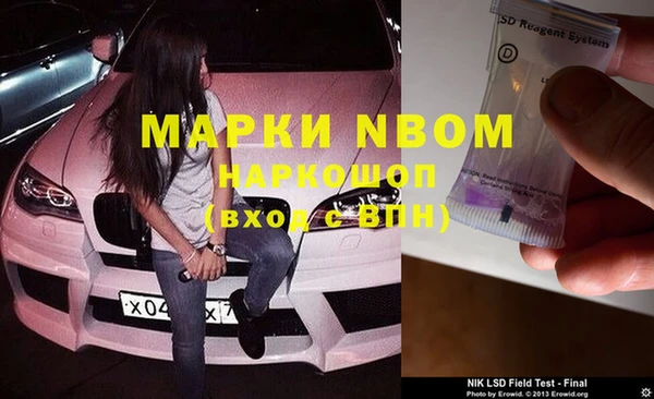 шишки Белоозёрский