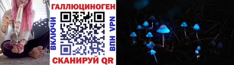 Галлюциногенные грибы GOLDEN TEACHER  купить наркотик  Биробиджан 